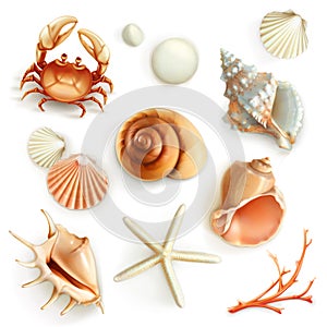 Seashells vector icons photo