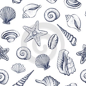 Seashells vector seamless pattern.