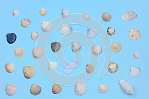 Seashells, white, blue and black stones on a blue background. amazonite and sea pebbles