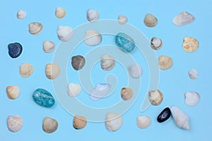 Seashells, white, blue and black stones on a blue background. amazonite and sea pebbles