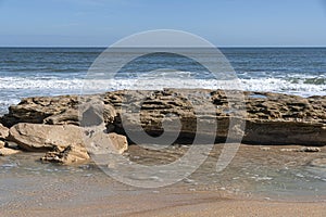 Seashore Background of Sandpipers on Coquina Rock