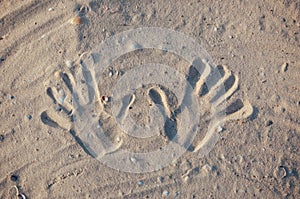 Seashore beach with sand, footprints in the sand, sand and seashells summer