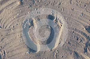 Seashore beach with sand, footprints in the sand, sand and seashells summer