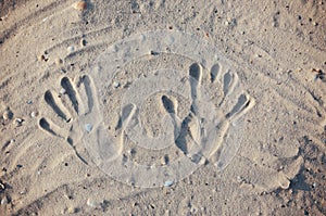 Seashore beach with sand, footprints in the sand, sand and seashells summer