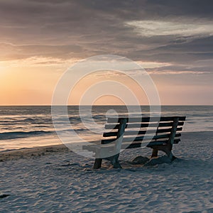 Seashore bench provides serene spot for rest and contemplation