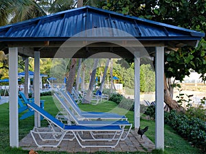 Seashore Cabana With Blue Roof and Lounge Chairs