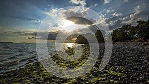 Seashore at Everglades National Park.