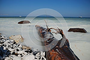 Seashore at Jasmund National Park