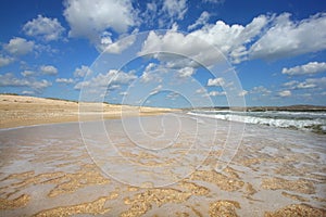 Seashore landscape