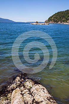 Seashore landscape in summer at Larrabee State Park in Bellingham Washington