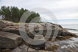 Seashore with large stones and pine tree on the stones