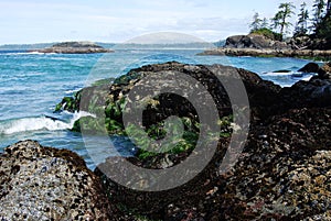 Seashore in pacific rim