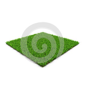 Seashore Paspalum Warm Season Grass on white. 3D illustration