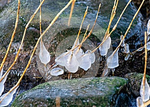 the seashore, rocky seashore, bare ice, blades of grass frozen with pieces of ice, natural formations
