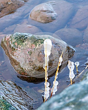 the seashore, rocky seashore, bare ice, blades of grass frozen with pieces of ice, natural formations