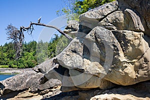 Seashore rocky landscape at Larrabee State Park in Bellingham Washington during summer