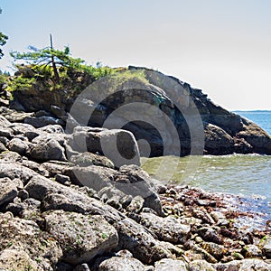 Seashore rocky landscape at Larrabee State Park in Bellingham Washington during summer