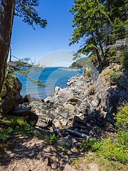 Seashore rocky landscape in summer at Larrabee State Park in Bellingham Washington