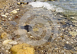 Seashore, sea beach large and small stones, a wave runs ashore, shallow water