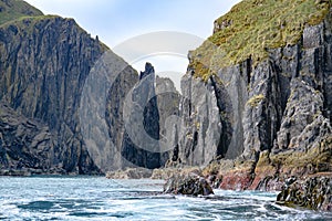 Steep cliffs with moss and algal, caves and seashore in South Georgia photo