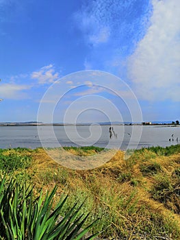 seashore with a stone embankment. The coast of the Black Sea. Embankment alley for walks.