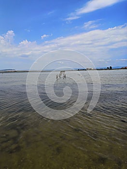 seashore with a stone embankment. The coast of the Black Sea. Embankment alley for walks.