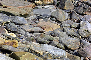 Seashore Stone Texture