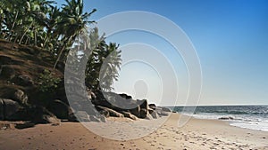 The seashore with stones and palm trees. India