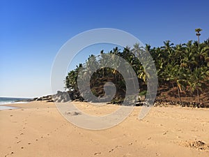 The seashore with stones and palm trees. India. Kerala