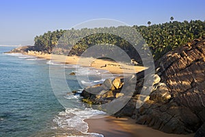 The seashore with stones and palm trees. India. Kerala