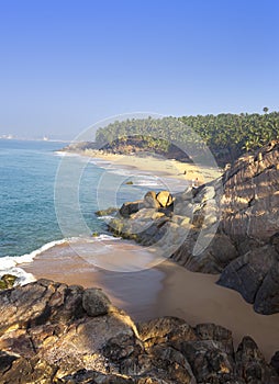 The seashore with stones and palm trees. India. Kerala