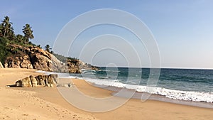 The seashore with stones and palm trees. India. Kerala