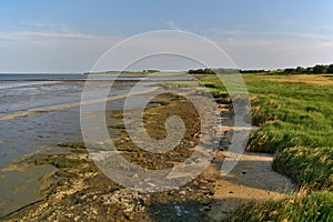 Seashore with tidal mudflats and salt marsh
