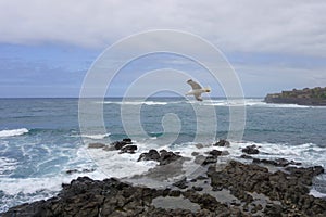 Seashore on a windy day in La Caleta de Interian, Tenerife, Canary Islands, Spain photo