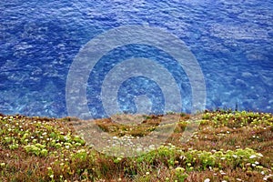 Seaside Background - Clifftop View of the Ocean