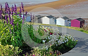 Seaside beach huts and flowers