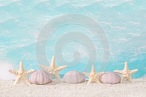 Seaside beach shells