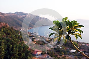 Seaside coast scenery from above