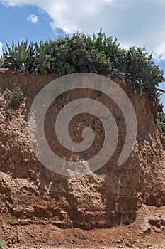 Seaside coastal erosion