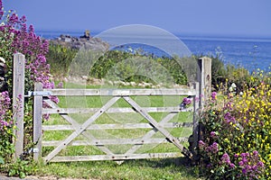 Seaside in Cornwall, Uk