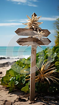 Seaside direction Arrows on wooden sign, beach backdrop, and flourishing plant