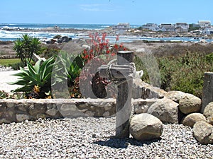 Seaside garden