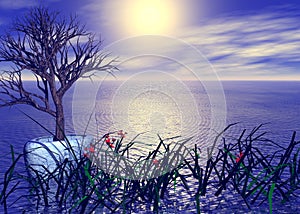 Seaside Garden Sunset