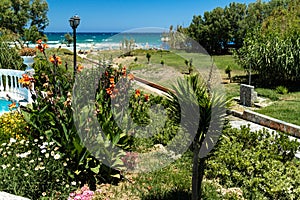 Seaside hotel gardens