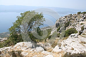 Seaside landscape on the Adriatic sea, croatia