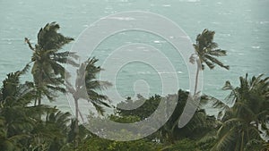 Seaside landscape during natural disaster hurricane. Strong cyclone wind sways coconut palm trees. Heavy tropical storm