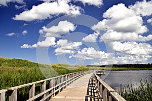 Seaside marsh boardwalk