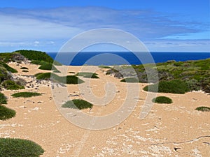 Seaside of N.P. Nullarbor.