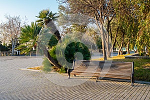 Seaside Park of the city of Baku Azerbaijan with decorative trees