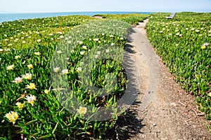 Seaside path